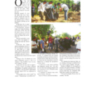 Write Up On The  Clean  Up  Event In The  Yemen  Times